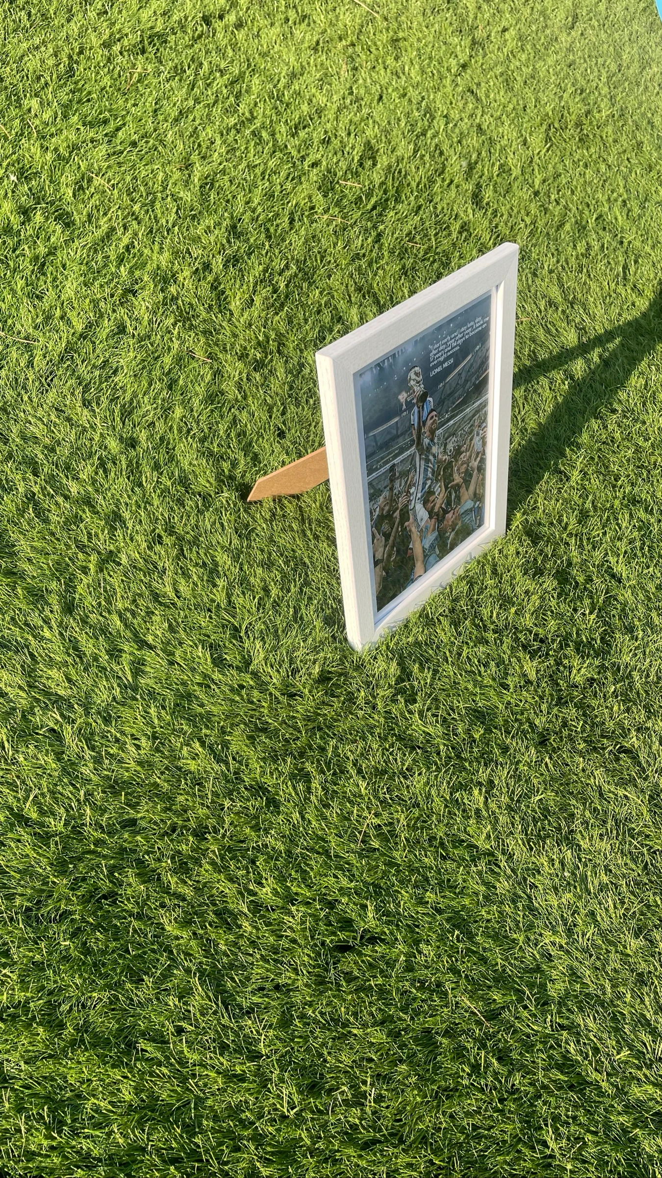 Quadro Lionel Messi Campeão do Mundo. – photo 3